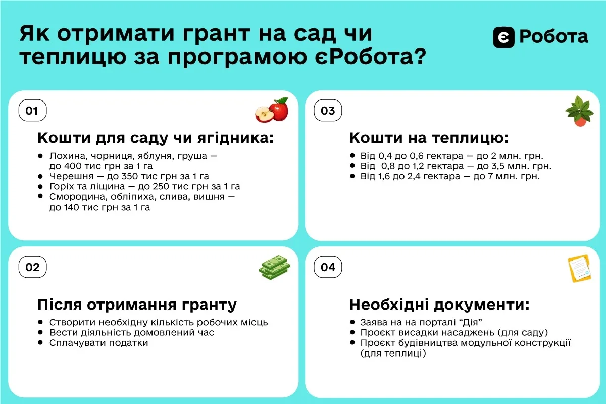 Инфографика гранта еРабота на сад, ягодник и теплицу с суммами выплат и документами