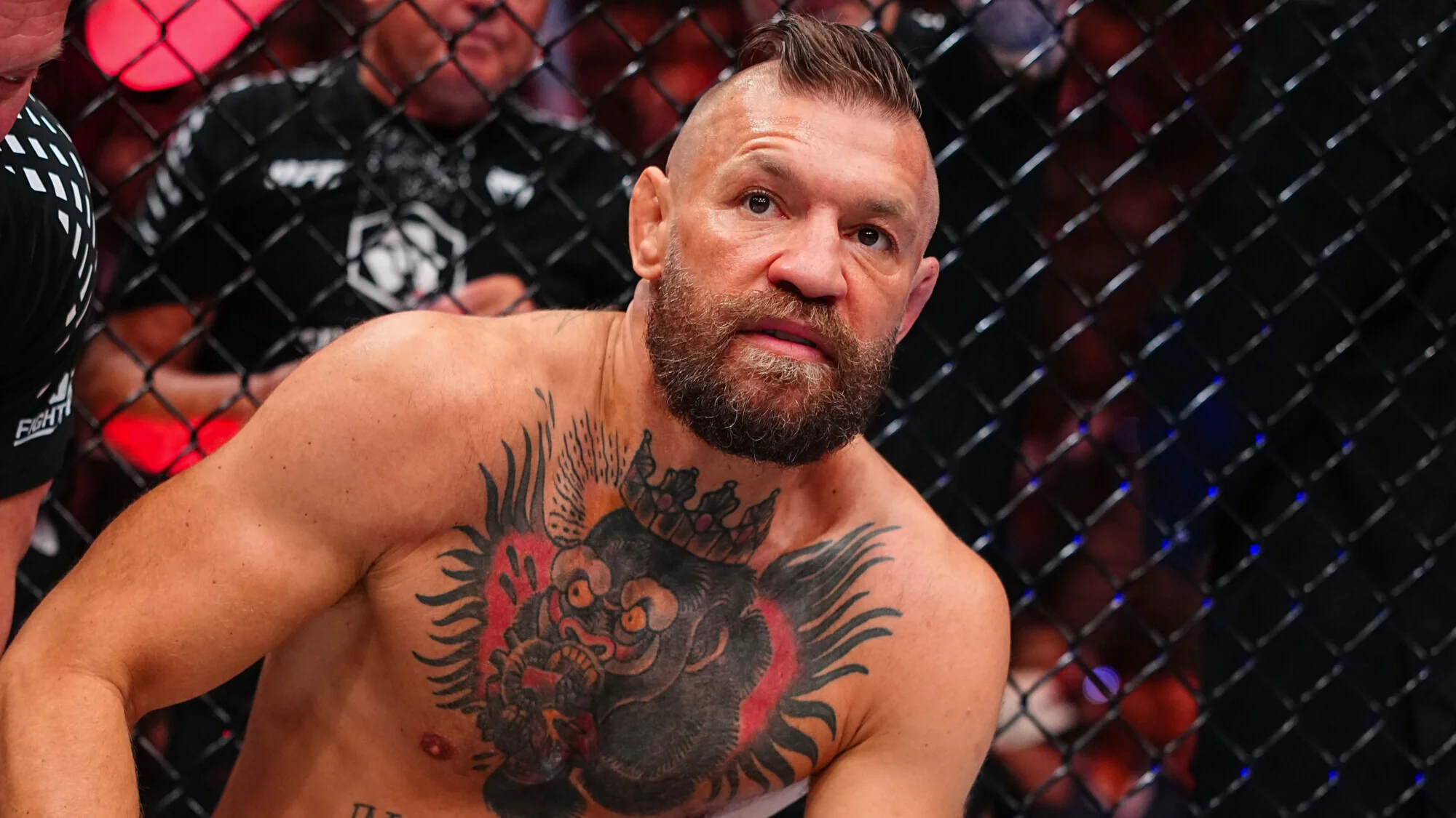 Конор Макгрегор у клітці UFC після поразки Холловею